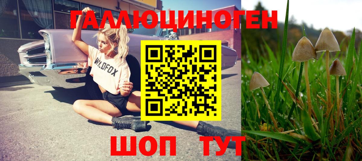 Галлюциногенные грибы ЛСД Корсаков