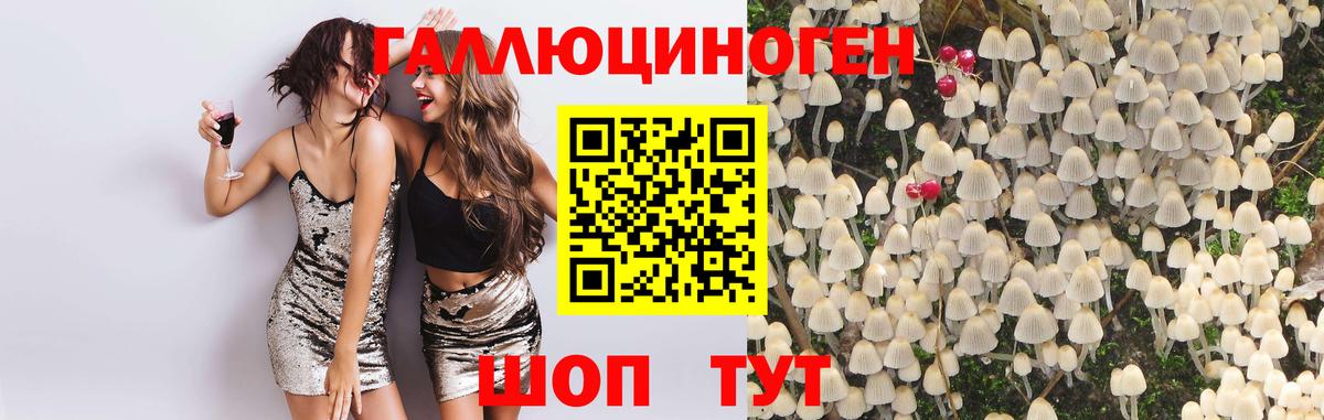 Галлюциногенные грибы Magic Shrooms  как найти наркотики  Вход с VPN  Корсаков  Псилоцибиновые грибы ЛСД 